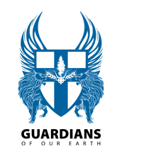 Network Synergy Holdings