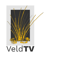 Powered by South Africans